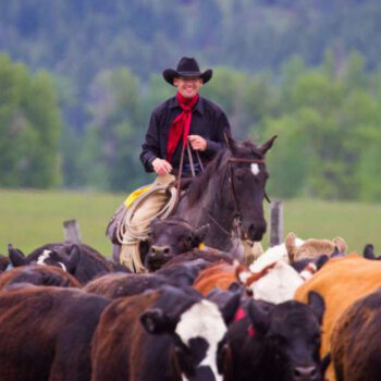 9 Must-Visit Cowboy-Core Towns in the American West