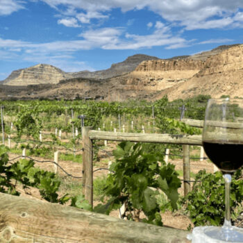 A Hidden Route Along Colorado’s Western Slope with Endless Vineyard Views