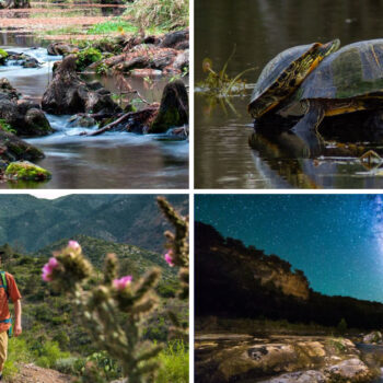 A Lesser-Known Texas State Park Offers Quiet Riverfront Camping An Hour Outside Of Houston