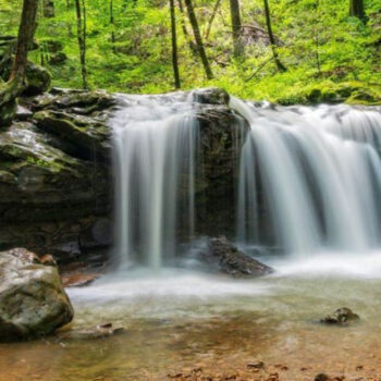 A Tennessee Lake With State Parks Touching Its Shoreline Is A Nature Lover's Paradise
