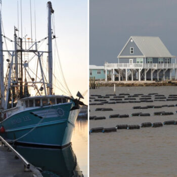 Alabama Gulf‑Coast Seafood Huts That Stay Off Maps