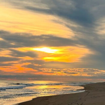 Amagansett, NY — Where Serene Beaches and Seafood Delight Meet