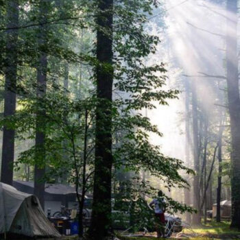 America’s Best National Parks for Unforgettable Camping