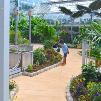 America’s Oldest Public Garden at the National Mall: A Timeless Oasis of Beauty in D.C.