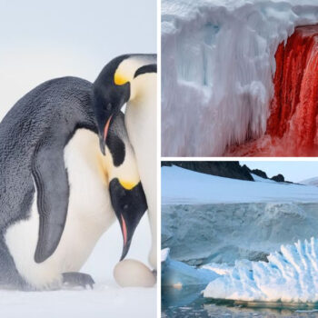 Antarctica Isn’t What You Think — Here Are 19 Shocking Truths