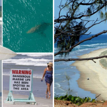 Avoid These 24 Shark-Alert Beaches at All Costs This Summer