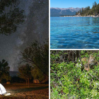California's Beautiful Reservoir Offers Camping & Outdoor Fun Without Lake Tahoe's Crowds