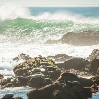 California’s Best Tide-Pool Beaches With Easy Parking