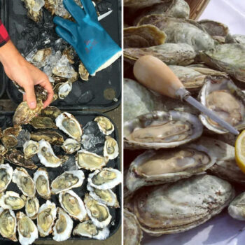 Chesapeake Bay Spots With Oyster Roasts and Zero Tourists