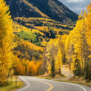 Colorado, Aspen – The Town Where Aspen Trees Turn Golden Every Fall