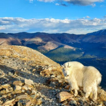 Colorado's Leadville: A Town Crowded by Fourteeners on All Sides