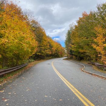 Curve-in-road-fall-foliage-2