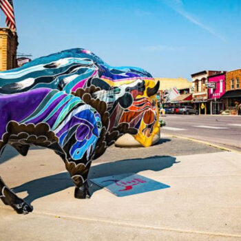 Custer, South Dakota: Where Painted Buffalo Line the Streets—and Real Bison Roam Nearby