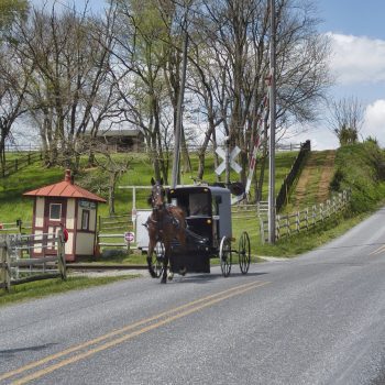 Amish Horse and Buggy on road