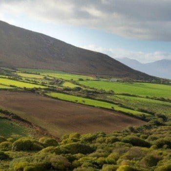 Ireland travel tips Dingle fields