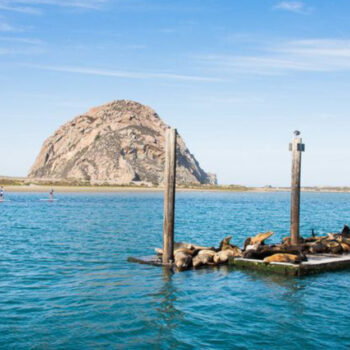 Discover Morro Bay: 15 Must-Know Highlights of California's Coastal Gem
