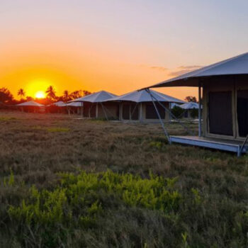 Everglades & Big Cypress Camping Map: 8 Top Spots from Chickees to Midway