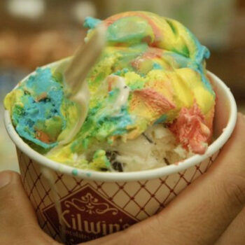 Florida Ice Cream Shops That Beat Anything at Disney