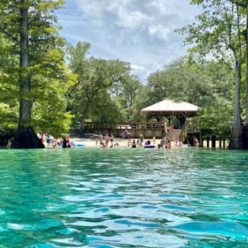 Florida’s State Park That Looks Like North Carolina - With Waterfalls, Scenic Trails, and One of the World’s Rarest Trees