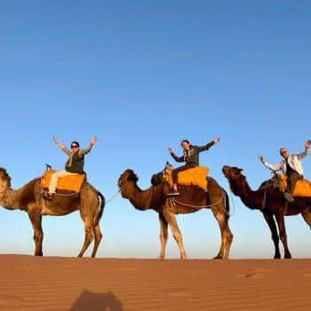 Grubers on camels - preparing kids for international travel