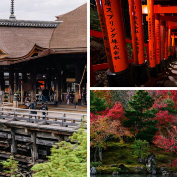 I Chased Japan's 72 Microseasons for a Year - These 19 Places Changed Everything