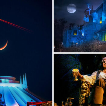 I Didn’t Watch Any Disney Movies Before Visiting the Parks — Big Mistake