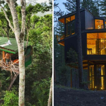 I Tested 19 Treehouse Hotels So You Don't Have To — Here Are the Winners