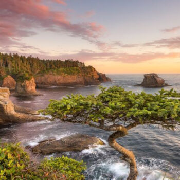 I Thought Washington State Was Overrated — Then I Found These 19 Places