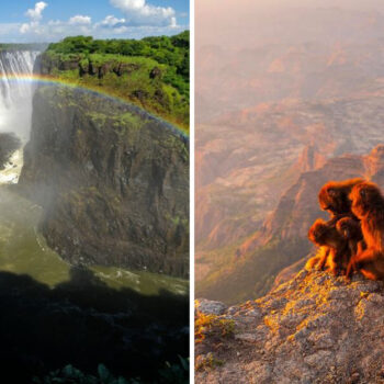 I Visited 15 Safari Countries for 2 Years — What I Discovered About Wildlife Will Shock You