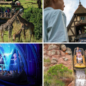 I Watched 15 Disney World Movies With Grandkids - What Happened at the Parks Will Melt Your Heart