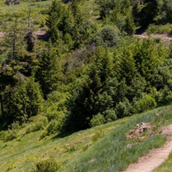 Idaho's Boise: Where the Annual Boise Mountain Bike Festival Warms Up Summer Trails