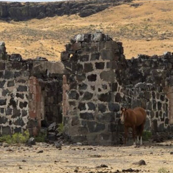 Idaho's Forgotten Ghost Town Ruins: An Adventure Into the Past