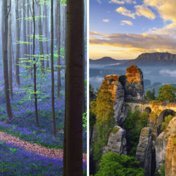 If You’ve Never Heard of These 20 European Forests, You’re Missing Out Big Time