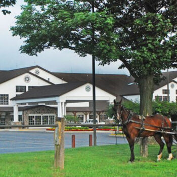 Indiana Amish‑Farm Cook‑Shops You’d Never Know