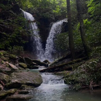 Kentucky’s Best-Kept Secrets: Uncharted Waterfalls You Have to See