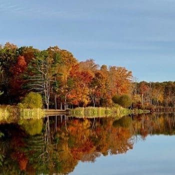 Fall colors reflecting on the lake in Lincoln Woods Rhode Island