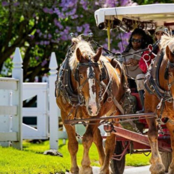Mackinac Island, Michigan: The One U.S. Town Without Cars, Just Horse‑Drawn Carriages