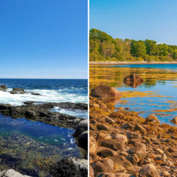 Maine Tidal Pools Big (and Calm) Enough to Splash Around