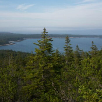 Maine’s Schoodic Peninsula - The “Other Acadia” Locals Won’t Tell You About
