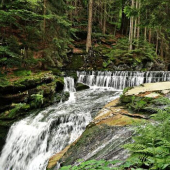 Mississippi’s Clark Creek Has Secret Seasonal Waterfalls