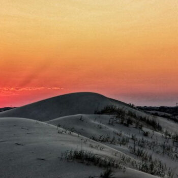 Monahans Sandhills, Texas Is a Desert Dune Park Perfect for Meteor Watching