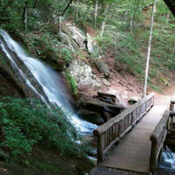 New to Hiking? Try These 10 Beginner Trails in the Smokies