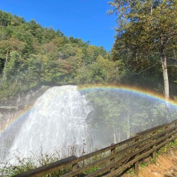 North Carolina’s Gorges State Park Has a Trail With Eight Waterfalls