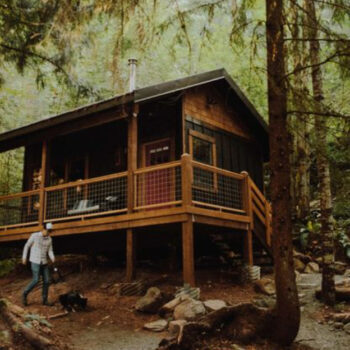 Oregon Forest Cabins So Peaceful You’ll Forget Wi-Fi Exists