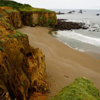 Oregon’s Hidden Coast Beaches Only Accessible by Forest Hike