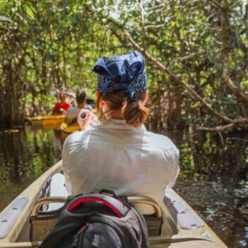 Paddle Through These Otherworldly Mangrove Tunnels in Florida