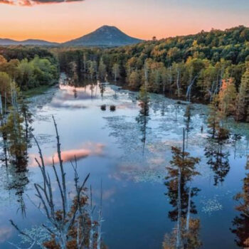 Ranking The Most Boring States In America According To Tourists