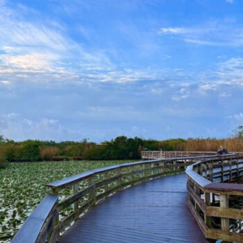 Ride through 15 miles of breathtaking Everglades views on this Florida trail