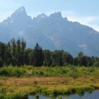 Schwabacher Landing what to do in Grand Tetons