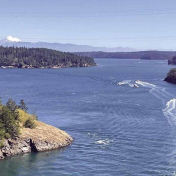 Seattle, Washington: The City with a Sea Monster Legend in Puget Sound